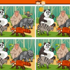 Find the Differences